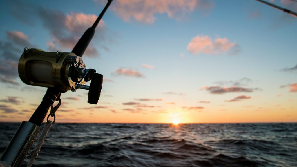view of a fishing rod during sunrise