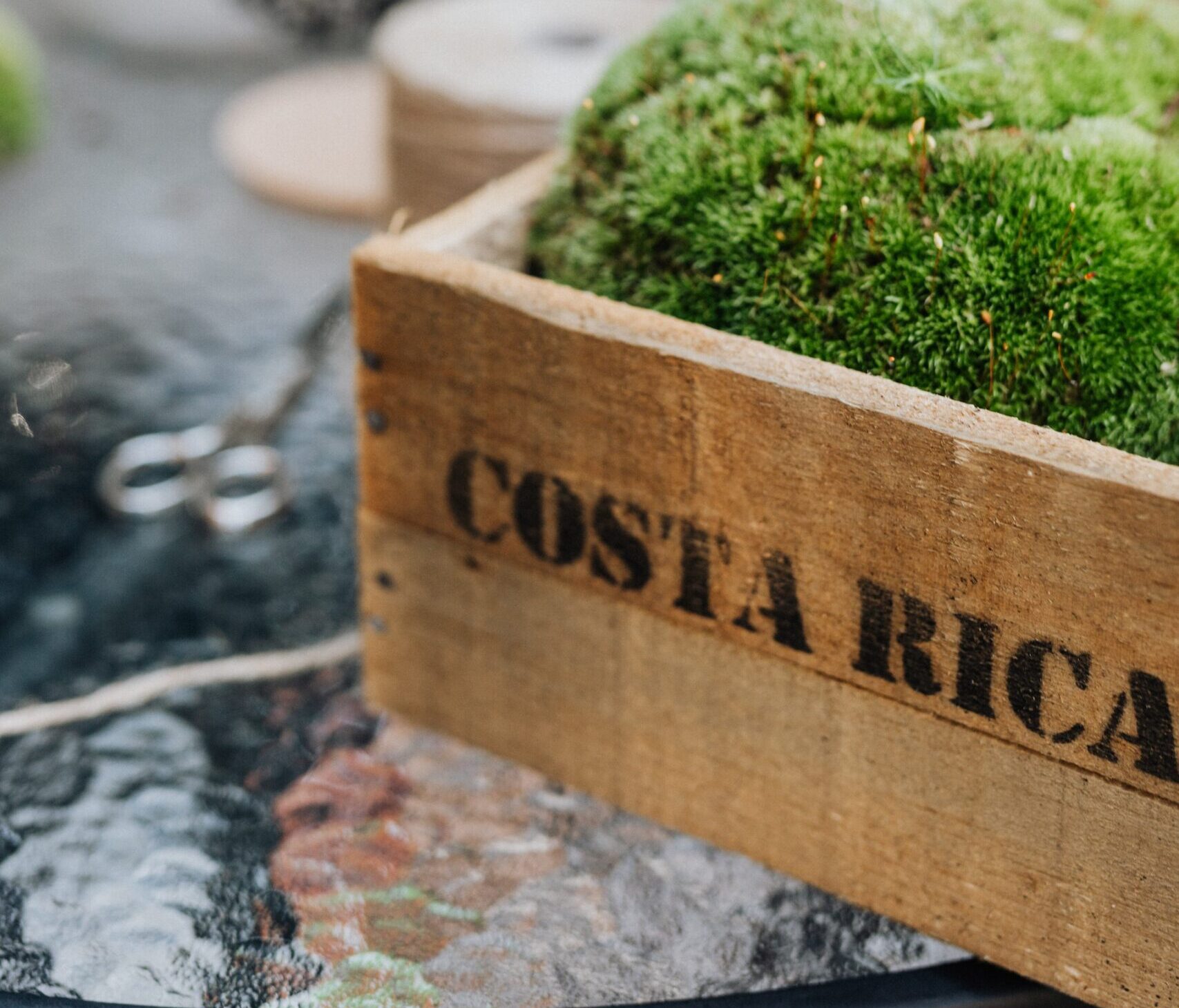 Easter in Costa Rica: A Handy Guide